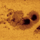 Illustration for article titled 11 of the Best Damn Astronomy Photos You'll See This Year